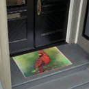 Search for cardinal bird doormats Beautiful