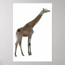 Search for lion kids posters Africa