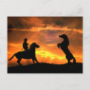 Search for rearing postcards Horse
