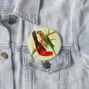 Search for parrot bird badges Tropical