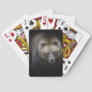Search for bear playing cards Animal
