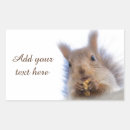 Search for walnut stickers Nature