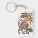 Search for endangered species key rings Nature