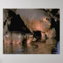 Search for kenya art Ie