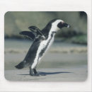 Search for beach walk mousepads Shore