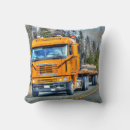 Search for cargo cushions Lorry