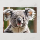 Search for bear face postcards Wildlife