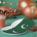 Search for pakistan flags crafts party White