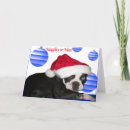 Search for boston christmas cards Dog