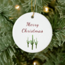 Search for southwest christmas tree decorations Succulent