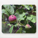 Search for apple mousepads Mat