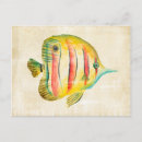 Search for aquarium postcards Portrait
