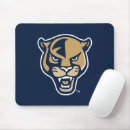 Search for panthers electronics Florida international university