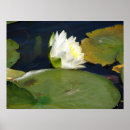 Search for lilypad art Water