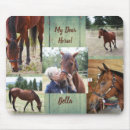 Search for horses in a photo collage For her