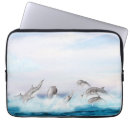 Search for dolphins cases Splash