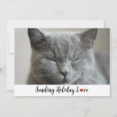 Search for cat photo christmas cards Photograph