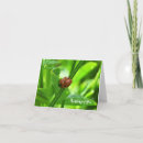 Search for ladybird cards Leaves