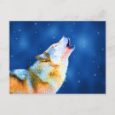 Search for timber wolves postcards Grey