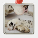Search for great dane christmas tree decorations Animal