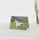 Search for mountains birthday cards Horse
