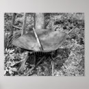 Search for wheelbarrow posters Floral