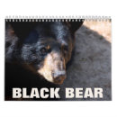 Search for black bear photography Animal