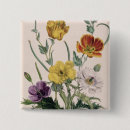 Search for anemone badges Flowers