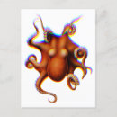 Search for squid tentacles postcards Calamari