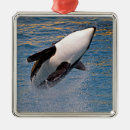 Search for killer whale christmas tree decorations Dolphin