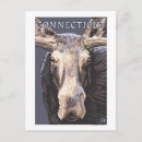 Search for lantern press postcards Moose