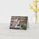 Search for ginger birthday cards Cat