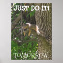 Search for funny squirrel posters Humour
