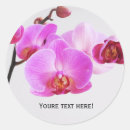 Search for pink orchids stickers Nature