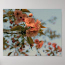 Search for spring bloom posters Nature