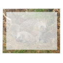 Search for hedgehog notepads Young animal