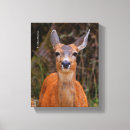 Search for black deer posters Trees