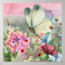 Search for butterfly kisses posters Flowers