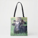 Search for cow bags Furry