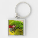 Search for animal gallery key rings Cathy