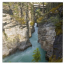 Search for national park tiles Ie