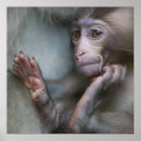 Search for stare art Animal