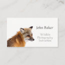 Search for north photography Wildlife