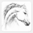 Search for horse drawing stickers Equine