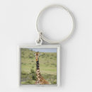 Search for natural key rings Wildlife