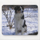 Search for tri mousepads Australian shepherd