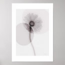 Search for botanical art posters Modern