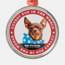 Search for pup christmas tree decorations Cute