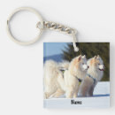 Search for samoyed dog key rings Puppies