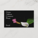 Search for calla photography Garden